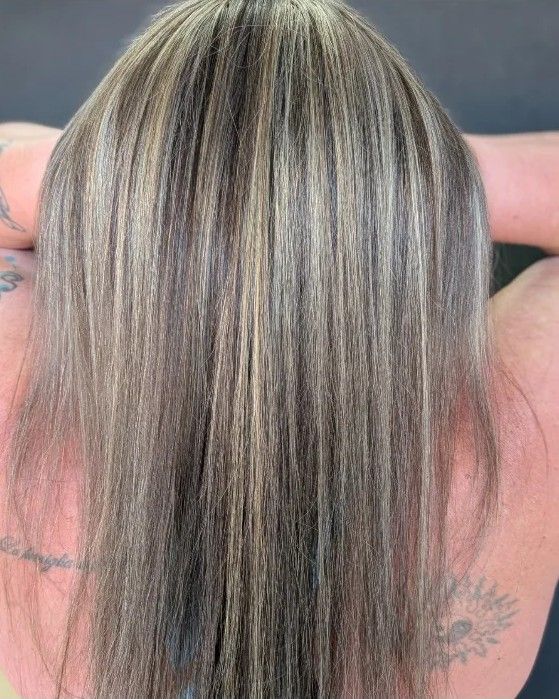 Straight brunette hair from behind, with fine blonde highlights blending scattered gray through the crown and lengths