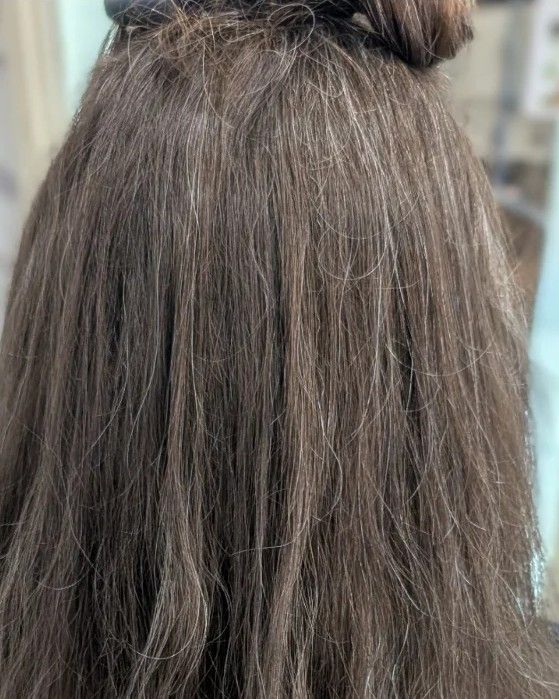 Before: long brunette hair from behind, with gray strands scattered through the crown and lengths