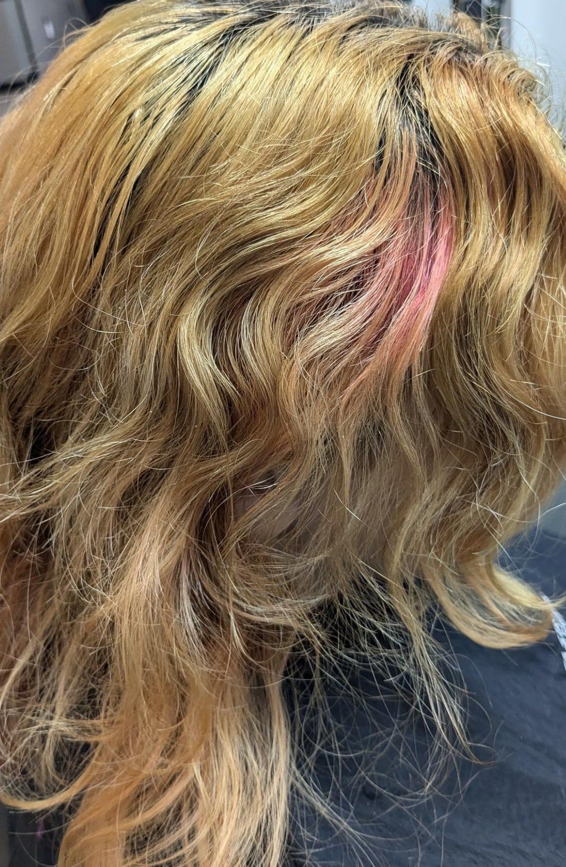 Before: brassy, uneven blonde hair with darker roots, photographed from the back in the salon